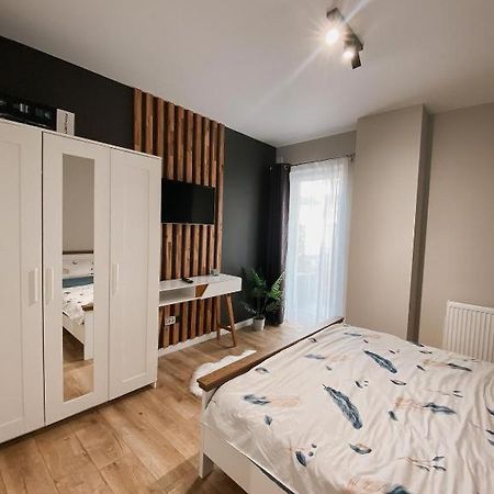 Owl'S Nest Apartment Κλουζ-Ναπόκα Εξωτερικό φωτογραφία